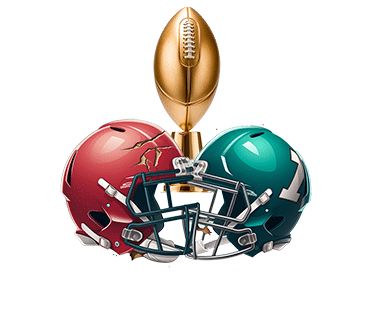 DFS NFL Showdown Tool